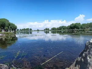 Büyüleyen Mesire Alanı