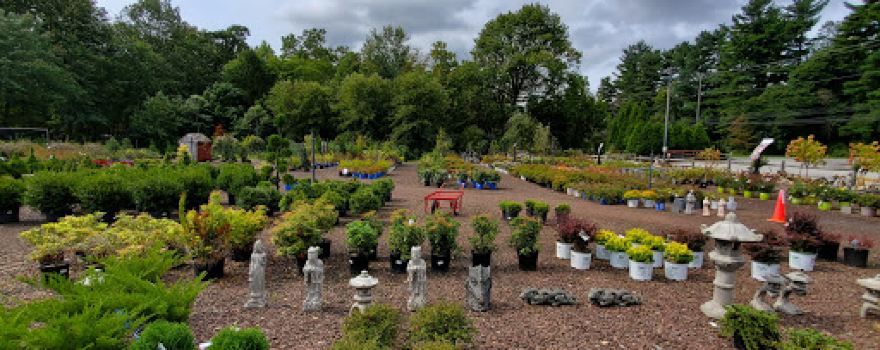 Main Line Gardens