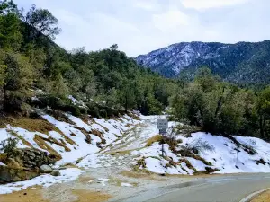 Old Baldy Trailhead