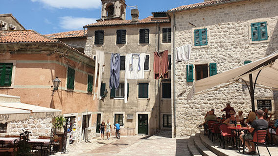 Kotor