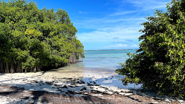 Indigenous Eyes Ecological Reserve