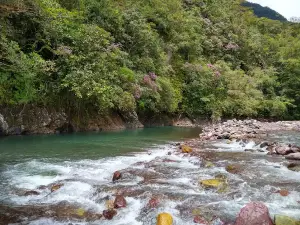Parque Principal