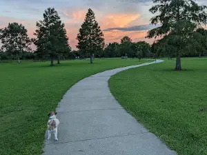 Dog Park at Burbank Park