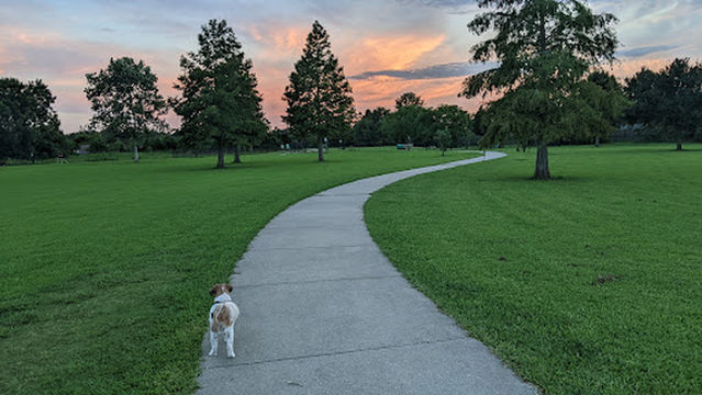 Dog Park at Burbank Park