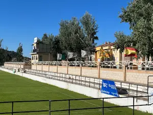 Estadio Juan Antonio Endeiza