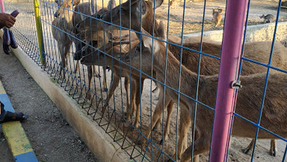 Freed & George Garden