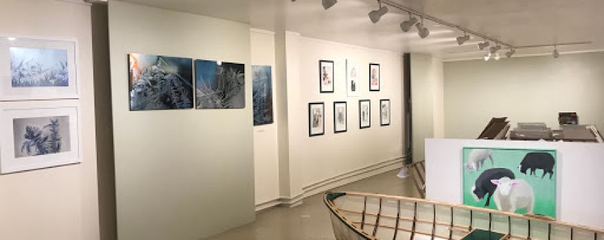 510 Warren Street Gallery