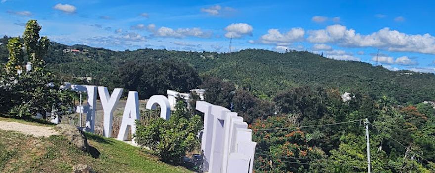 LA LOMA DE LOS REYES