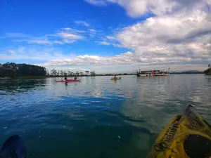 Araranguá River