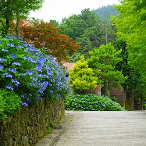 Grace Garden