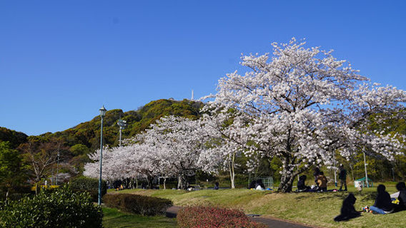 Hinokuma Park