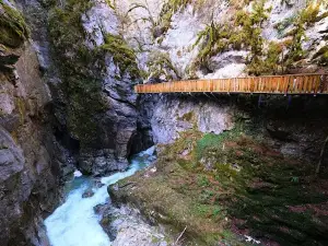 Küre Dağları Milli Parkı Çatak Kanyon Girişi