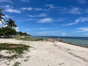 Playa San Crisanto