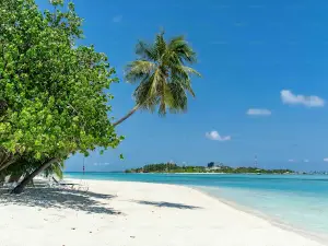 Praia da Guia