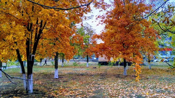 Park Im. Andreya Sulina