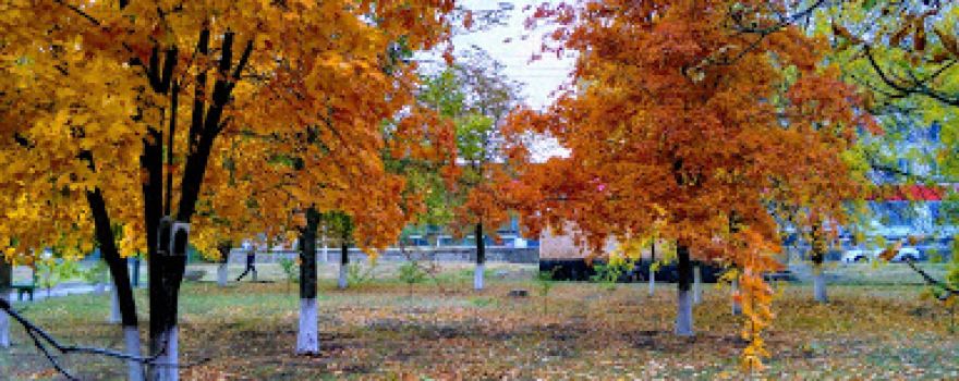Park Im. Andreya Sulina