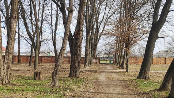 City park