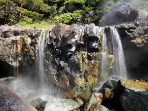 Hot Springs Cove