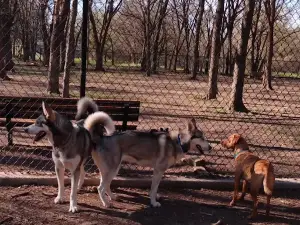 Patsy Hooks Dog Park at Heritage Park