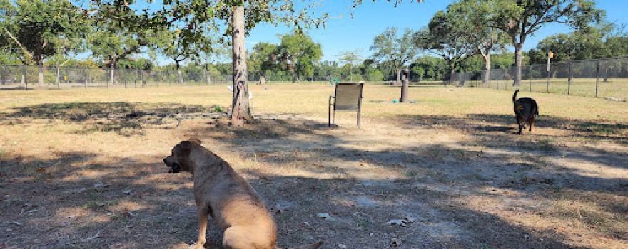 "Bark Park" Dog Park