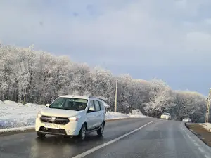 Codrii Paşcanilor