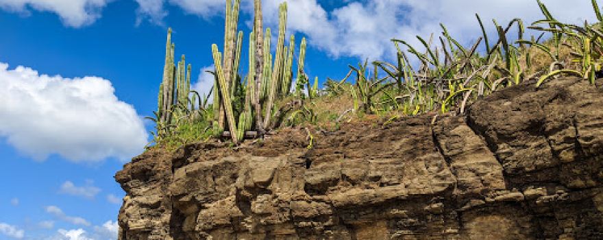 Tide Pools, Guasacate Beach