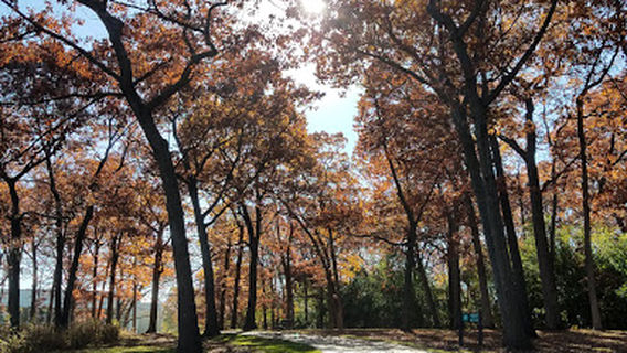 Hinkston Park