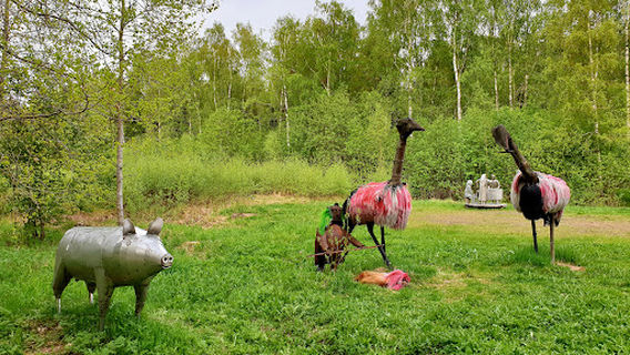 Outsider Art, Edvin's Trail