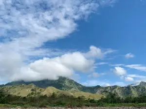 Ollon Toraja