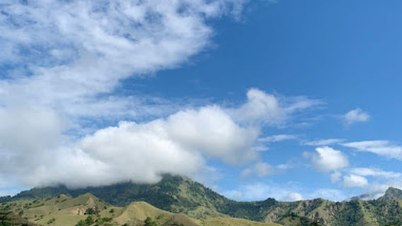 Ollon Toraja