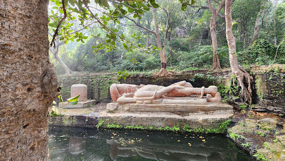 Bandhavgarh Tiger Reserve