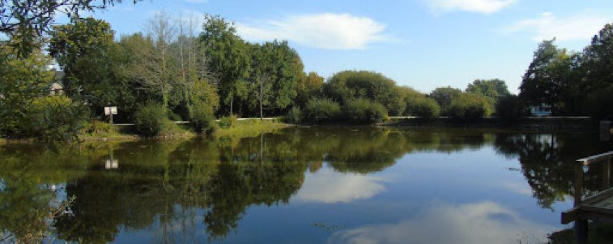 Le Pavail , Parc De Bréal Sous Montfort