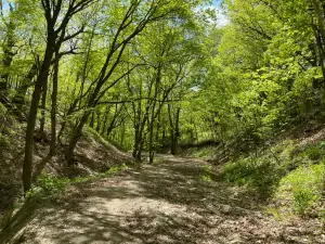 High Island Creek Park
