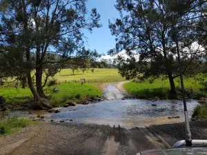 Condamine River