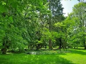 Muzeum Pozytywizmu na Gołotczyźnie. Oddział Muzeum Szlachty Mazowieckiej w Ciechanowie
