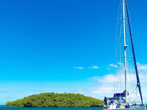 Nico Excursions Guadeloupe en bateau