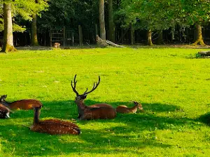 Parc de vision du Banney