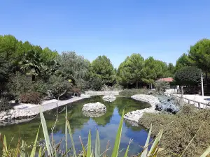 Avia Park
