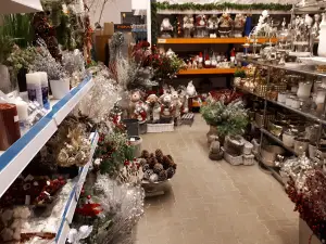 Centrum Ogrodnicze Toskana