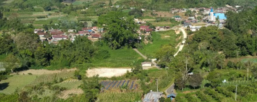 Tugu Keturunan OP Jami Raja Munthe Siatonga RUMA PARPULUNGAN