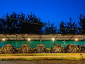 Hornbill Adventure Zone