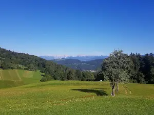 Geometric Centre of Slovenia