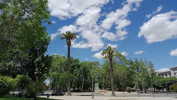 Alameda de talca