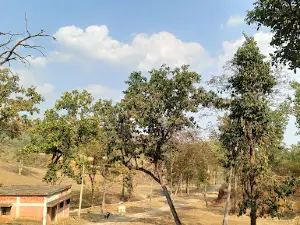 Charan Teerth