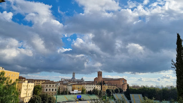 Stadio Artemio Franchi