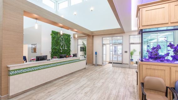 Veterinary Healthcare Associates