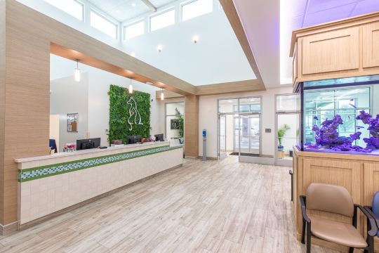 Veterinary Healthcare Associates