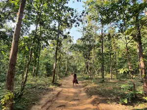 Dongargarh-Dhaara Reserve Forest