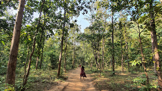 Dongargarh-Dhaara Reserve Forest