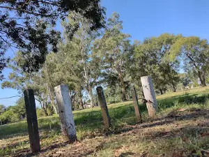 Municipal de Rufino "Angel Bulgheroni" Park